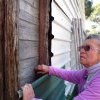 Under the tin, Margaret Slowgrove discovers the original timber weatherboards of her childhood home, Botany